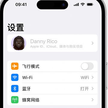 浪卡子appleID维修服务iPhone设置中Apple ID显示为灰色无法使用 