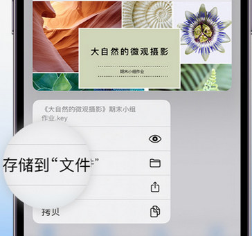 浪卡子apple维修中心分享iPhone文件应用中存储和找到下载文件