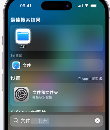 浪卡子apple维修中心分享iPhone文件应用中存储和找到下载文件 