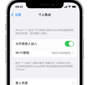 浪卡子apple服务站点分享iPhone上个人热点丢失了怎么办