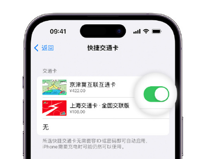 浪卡子apple维修点分享iPhone上更换Apple Pay快捷交通卡手绘卡面 