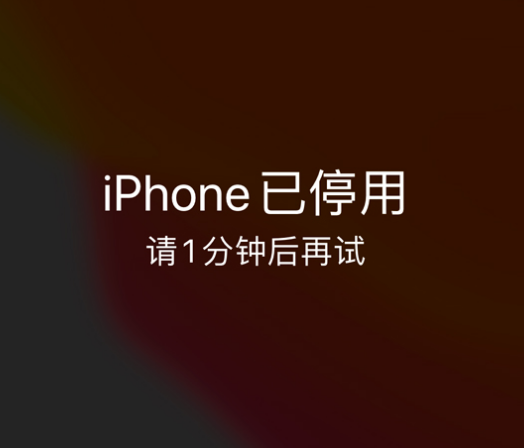 浪卡子苹果手机维修分享:iPhone 显示“不可用”或“已停用”怎么办？还能保留数据吗？ 