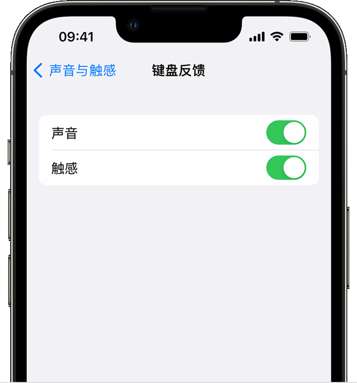 浪卡子苹果14维修店分享如何在 iPhone 14 机型中使用触感键盘 