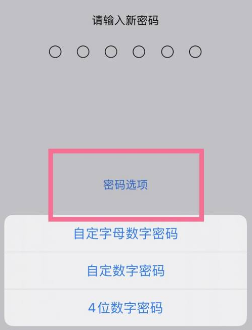 浪卡子苹果14维修分享iPhone 14plus设置密码的方法 