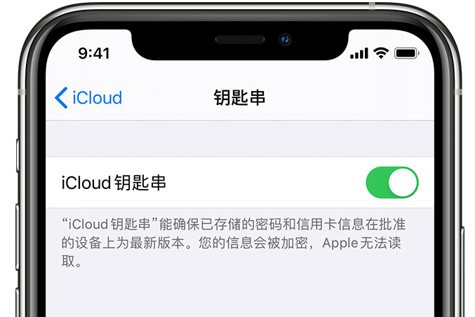 浪卡子苹果手机维修分享在 iPhone 上开启 iCloud 钥匙串之后会储存哪些信息 