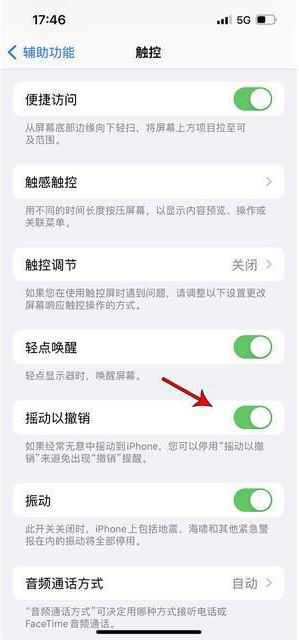 浪卡子苹果手机维修分享iPhone手机如何设置摇一摇删除文字 