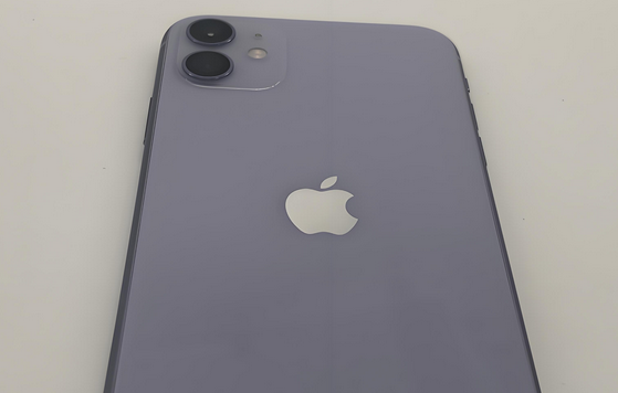 浪卡子苹果11系统维修分享iPhone11手机系统崩溃无法开机如何解决 